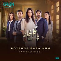 Sahir Ali Bagga - Royenge Bara Hum (From "Pagal Khana")