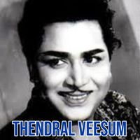 Viswanathan–Ramamoorthy, Kannadasan & Mayavanathan - Thendral Veesum (Original Motion Picture Soundtrack)