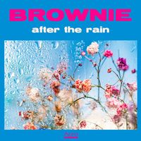 BROWNIE - after the rain