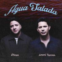Divan - Agua Salada