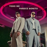 Divan - Todo me parece bonito