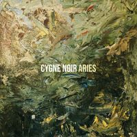 Aries - Cygne Noir
