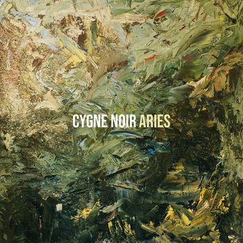 Aries - Cygne Noir