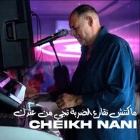 Cheikh Nani - ماكنتش نقارع الضربة تجي من عندك