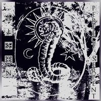 Aikon - Perfect Serpent