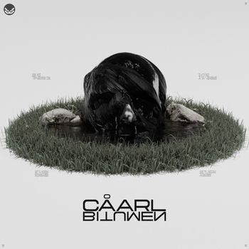 CÅARL - BITUMEN