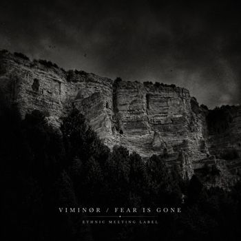 VIMINØR - Fear is Gone