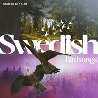 Thames Station - Swedish Birdsongs