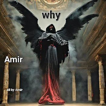 Amir - Why
