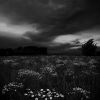 apocalypse - Mahom