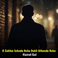 Hazrat Gul - O Zakhm Sehnda Reha Dukh Uthanda Reha