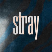 Neezi - Stray