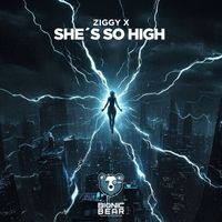 ZIGGY X - She's so High