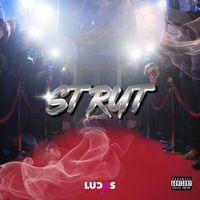 LUCAS - STRUT (Explicit)