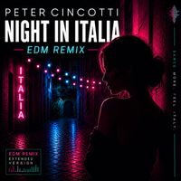 Peter Cincotti - Night In Italia (EDM REMIX)