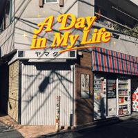 SunFlower - A Day in My Life