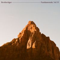 Brothertiger - Fundamentals, Vol. VI