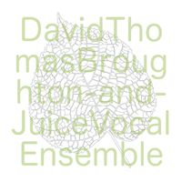 David Thomas Broughton - Sliding The Same Way