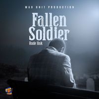 Rude Link - Fallen Soldier