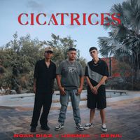 Denil - Cicatrices