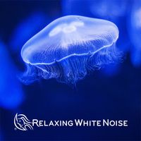 Relaxing White Noise - Water Sounds Jellyfish Aquarium, Underwater White Noise Loop (No Fade)