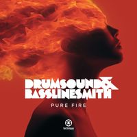 Drumsound & Bassline Smith - Pure Fire