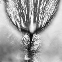 Andrew Tasselmyer - Truth Conditions