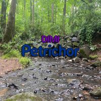 DIMI - Petrichor