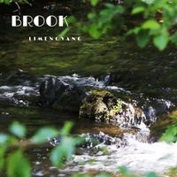 Limeng Vang - Brook
