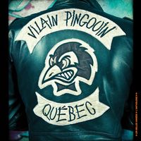 Vilain Pingouin - Les belles années : L'anthologie