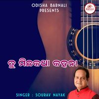 Sourav Nayak - Tu Michha Katha Kahana
