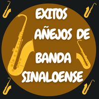 Banda La Costeña - Exitos Añejos De Banda Sinaloense