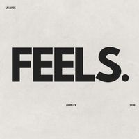 GIXBLEX - FEELS