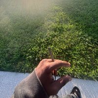 Andy Abraham - 2026FLEXMUSIX (Explicit)