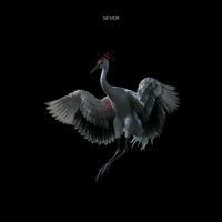 SEVER - Hikari