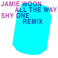Jamie Woon - All The Way (Shy One Remix)