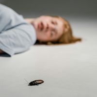 Macrogenre - Cockroach Cadence (Explicit)