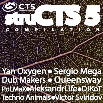 Various Artists - Structs Vol.5