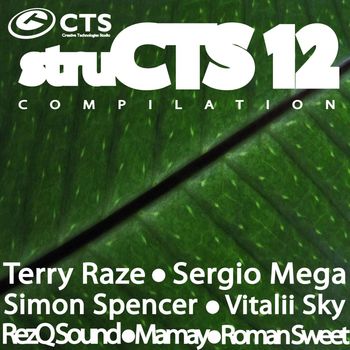 Various Artists - Structs Vol.12