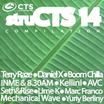 Various Artists - Structs Vol.14