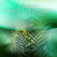 Echofoam - Calming Rainforest Surroundings