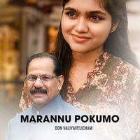 Don Valiyavelicham - Marannu Pokumo