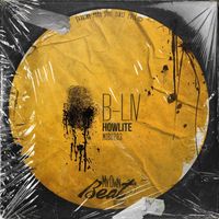 B-Liv - Howlite