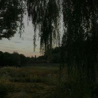 apocalypse - Number 7