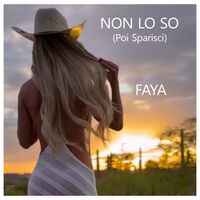 FAYA - Non Lo so (Poi Sparisci)