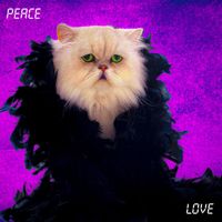 KARBON - PEACE & LOVE