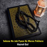 Hazrat Gul - Sakena Ne Jab Pyase Ke Maree Pokhara