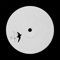 Echo Request - Santa Maria