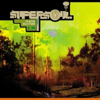 Supersoul - 40 Acres and a Moog (Explicit)