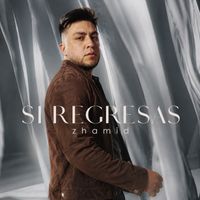 zhamid - Si Regresas